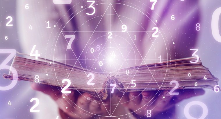 Numerologist guiding car number selection through numerology.